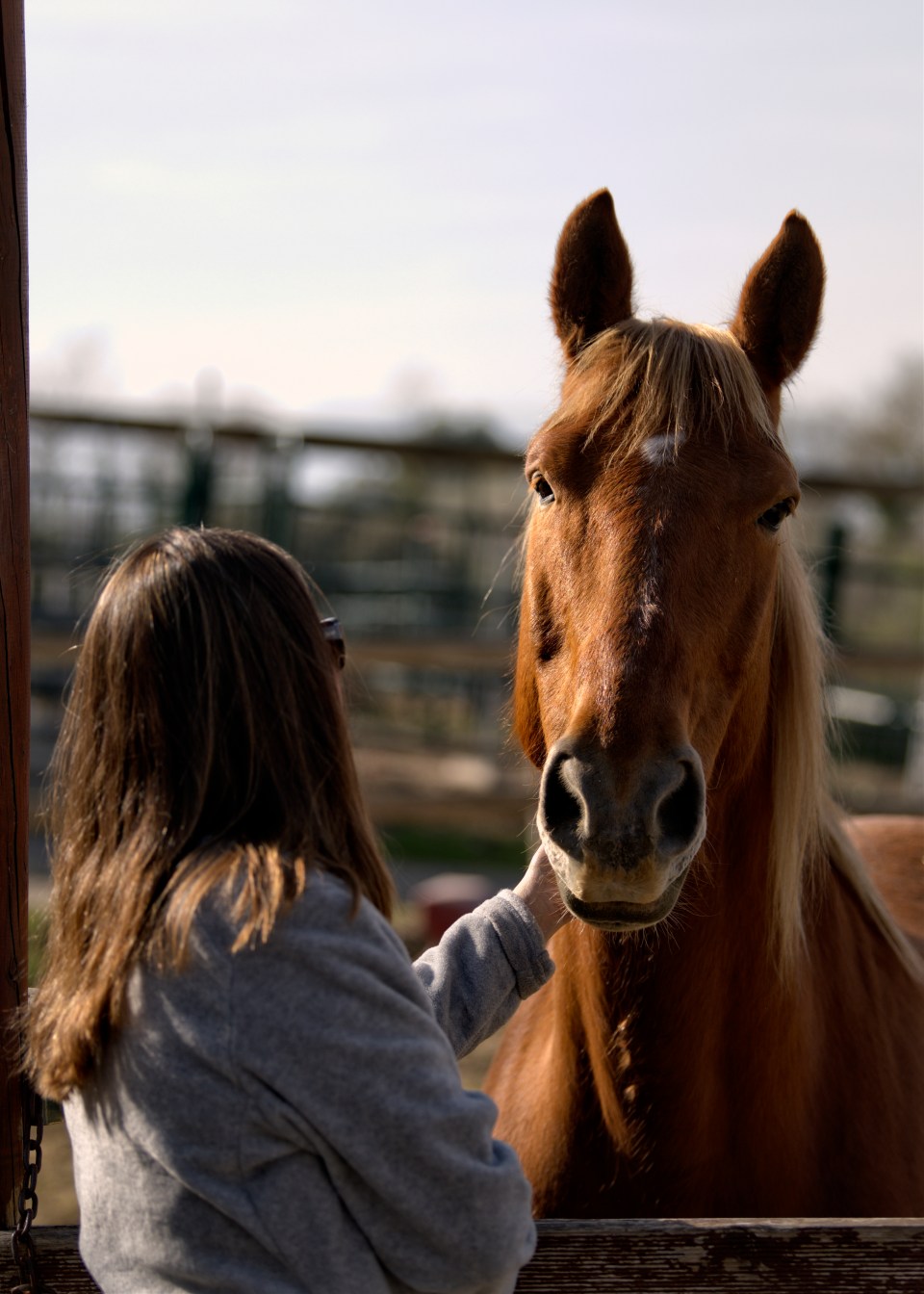 Raquel&amp;Juanfran13