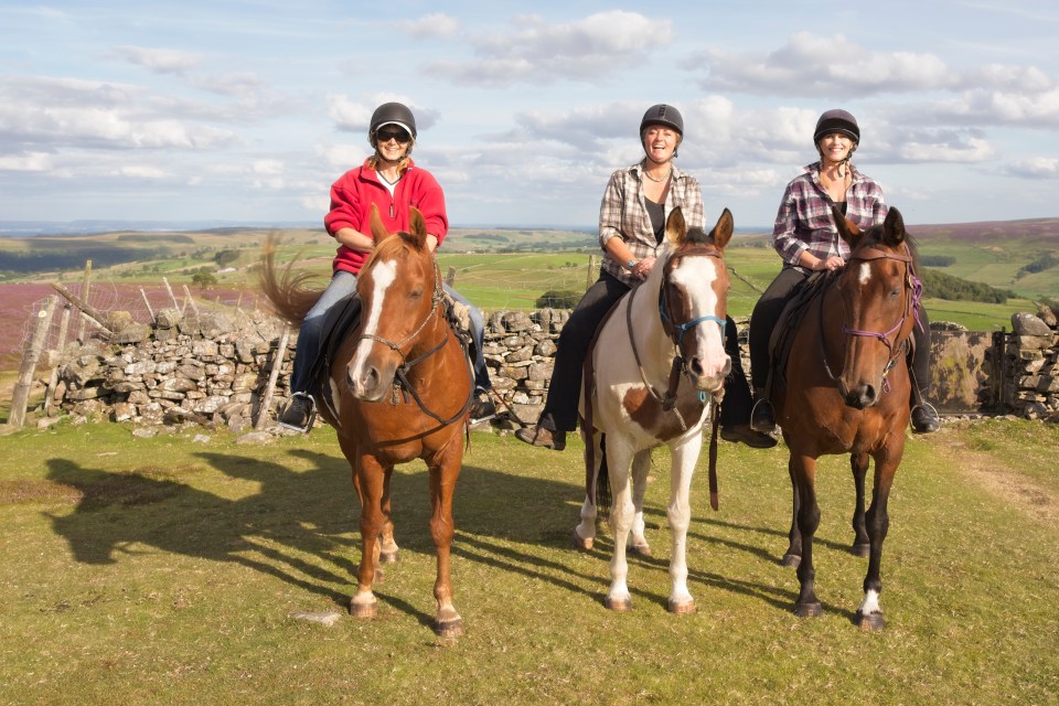 Babs, Jane &amp; Sarah11
