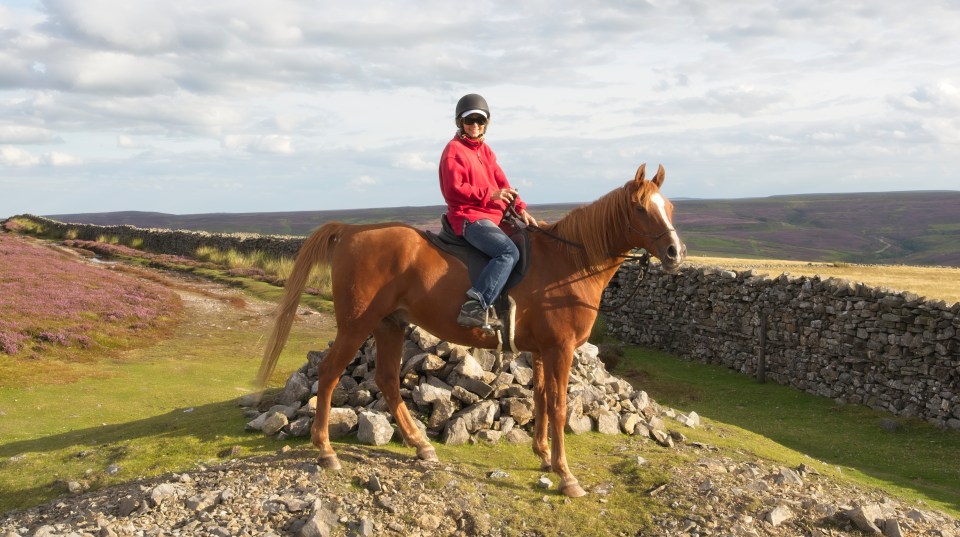 Babs, Jane &amp; Sarah21