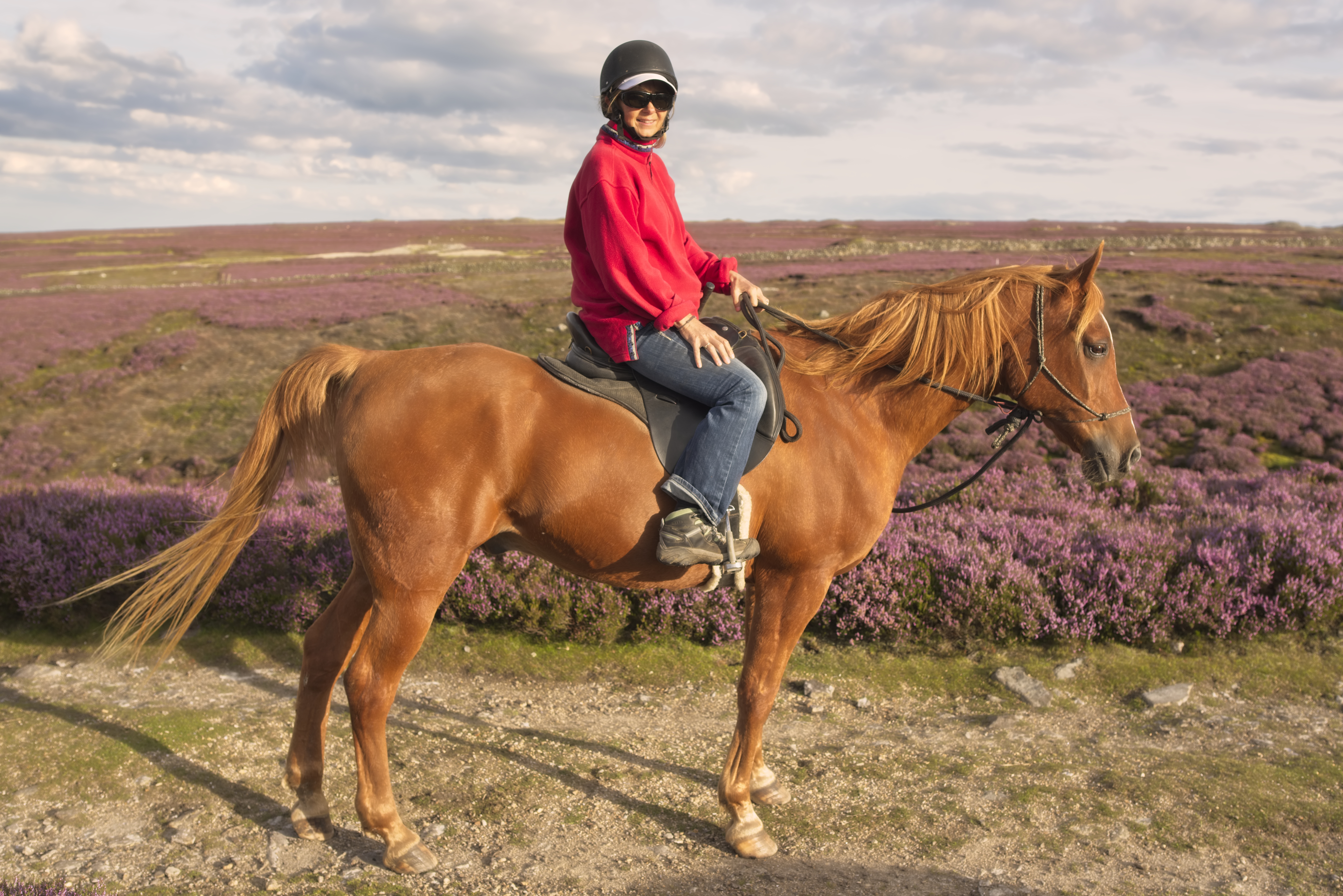 Babs, Jane &amp; Sarah26