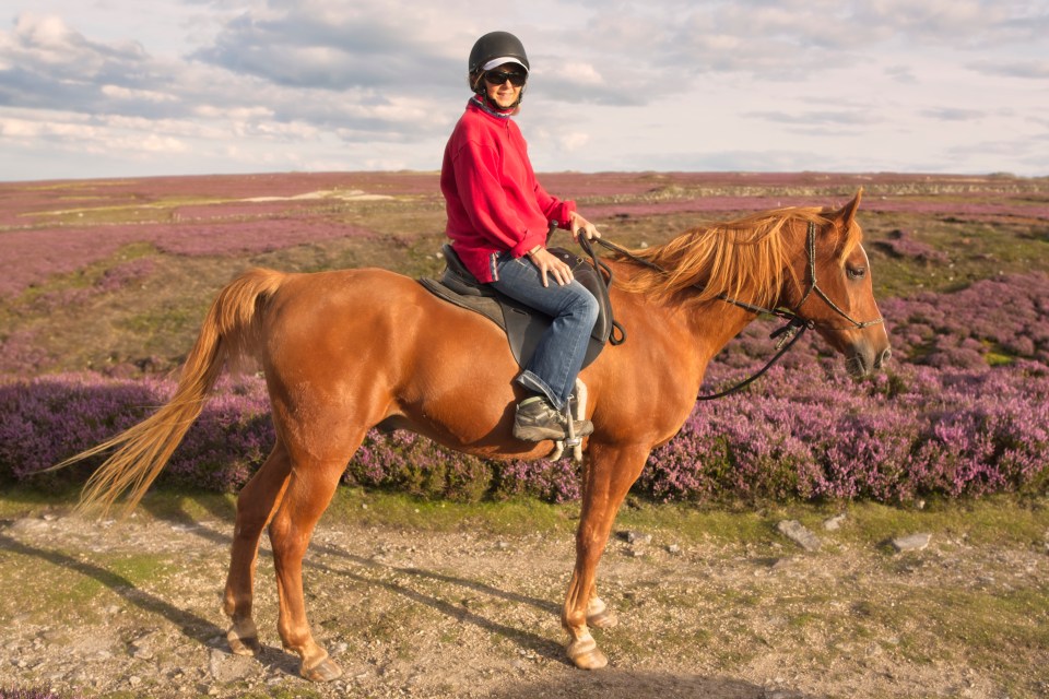 Babs, Jane &amp; Sarah26